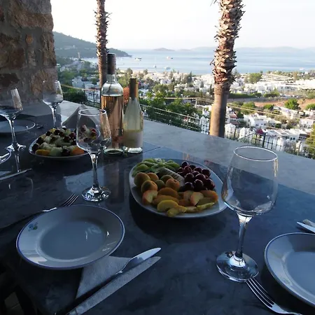 Villa Mira Luxury Torba